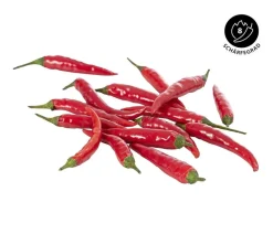 Dehner Peperoni- & Paprikapflanzen - Thaichili, Rot