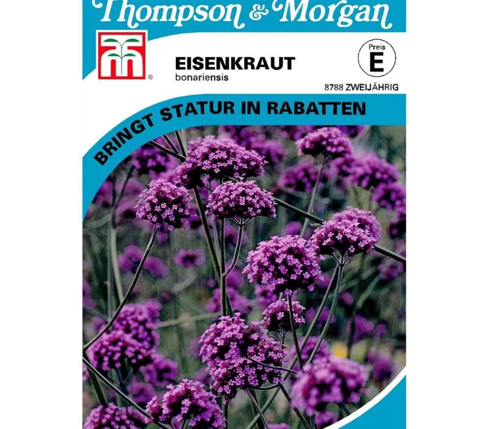 Thompson & Morgan Blumensamen > Samen Eisenkraut 'Bonariensis'