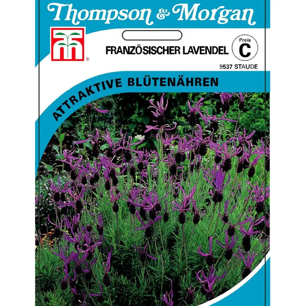 Thompson & Morgan Samen Französischer Lavendel