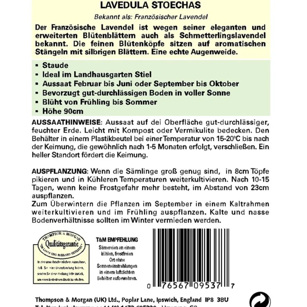 Thompson & Morgan Samen Französischer Lavendel
