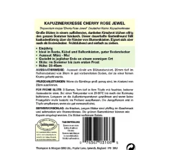 Thompson & Morgan Samen Kapuzinerkresse 'Cherry Rose Jewel' Rot New