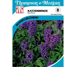 Thompson & Morgan Blumensamen > Samen Katzenminze 'Blue Moon'