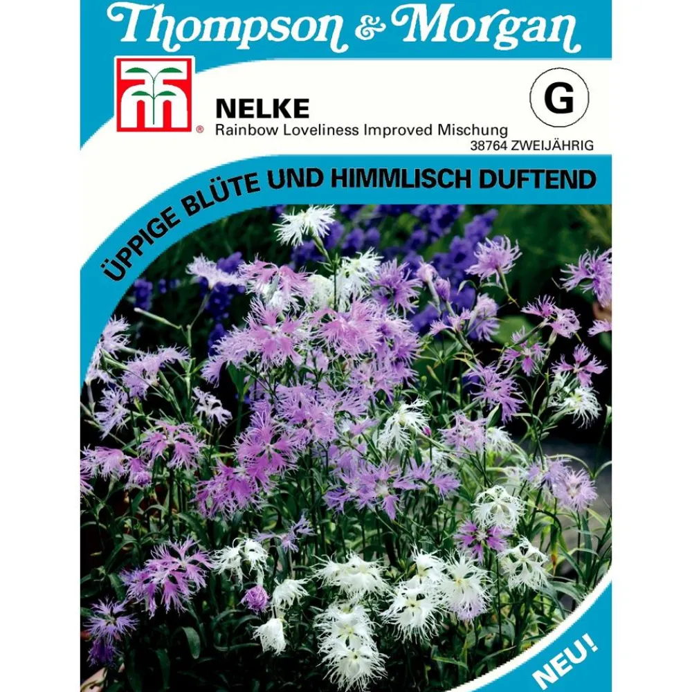 Thompson & Morgan Samen Nelke 'Rainbow Loveliness Improved Mischung' Sale