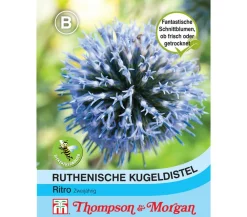 Thompson & Morgan Blumensamen - Samen Ruthenische Kugeldistel 'Ritro' Hellblau