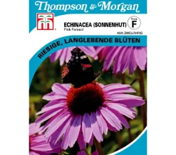 Thompson & Morgan Blumensamen - Samen Sonnenhut 'Pink Parasol' Lila