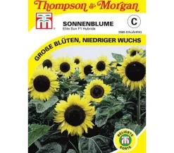 Thompson & Morgan Blumensamen - Samen Sonnenblume 'Elite Sun' Gelb