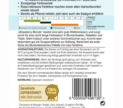 Thompson & Morgan Samen Studentenblume 'Strawberry Blonde' Hot