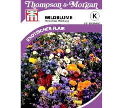 Thompson & Morgan Blumensamen > Samen Wildblume 'Mittelmeer Mischung'