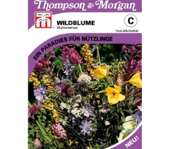 Thompson & Morgan Blumensamen > Samen Wildblume 'Blumenwiese'