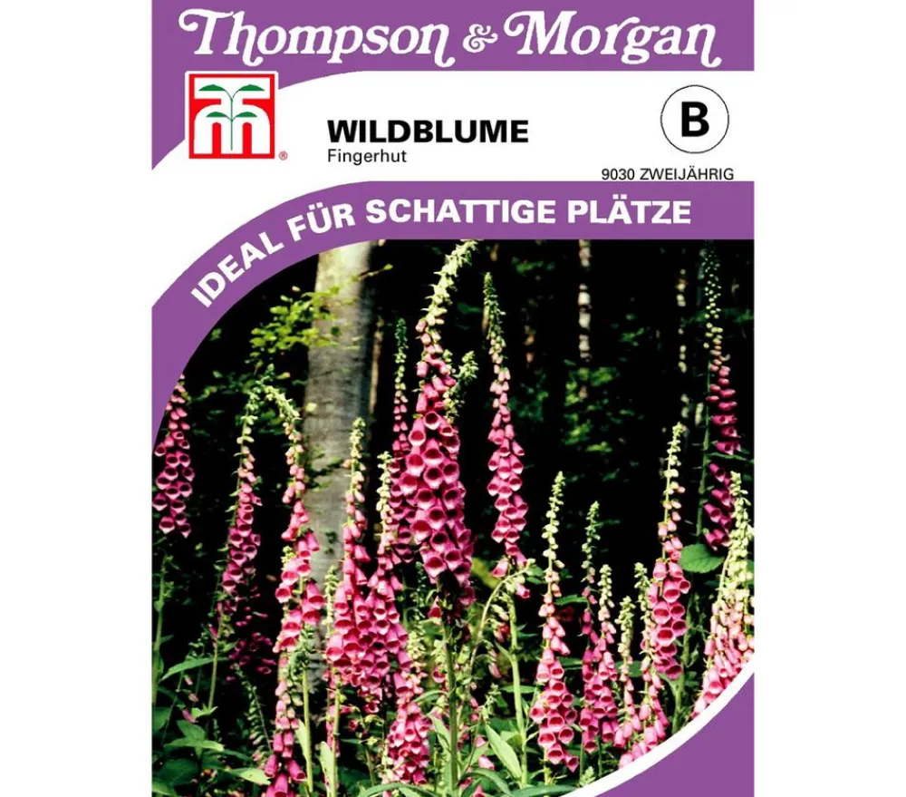 Thompson & Morgan Samen Wildblume 'Fingerhut' Sale