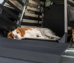 THULE® Hundetransportboxen - Allax L Compact Hundetransportbox, ca. B69/H70/T87-93 cm