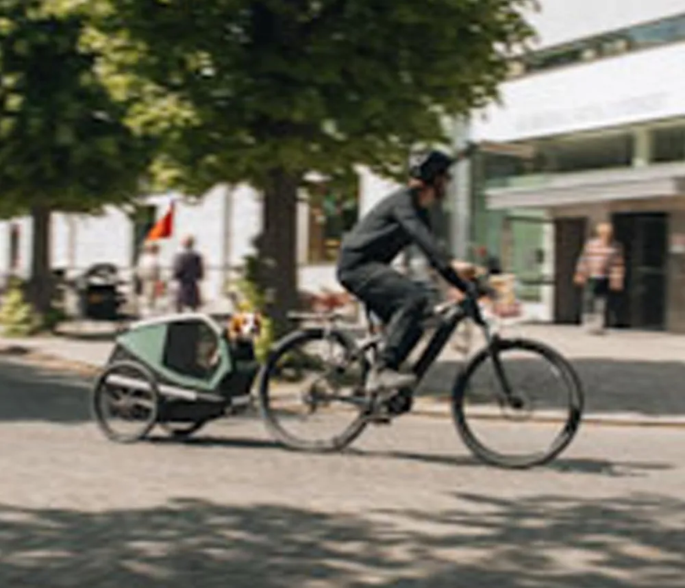 THULE® Mehr Transport & Unterwegs - Bexey Hunde-Fahrradanhänger, Hazy Green Grün