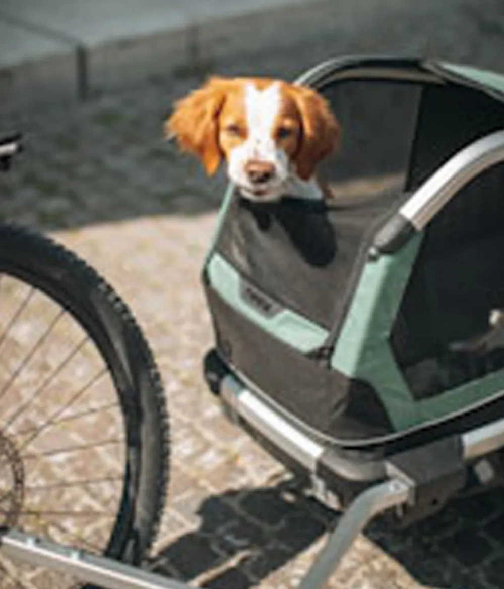 THULE® Mehr Transport & Unterwegs - Bexey Hunde-Fahrradanhänger, Hazy Green Grün