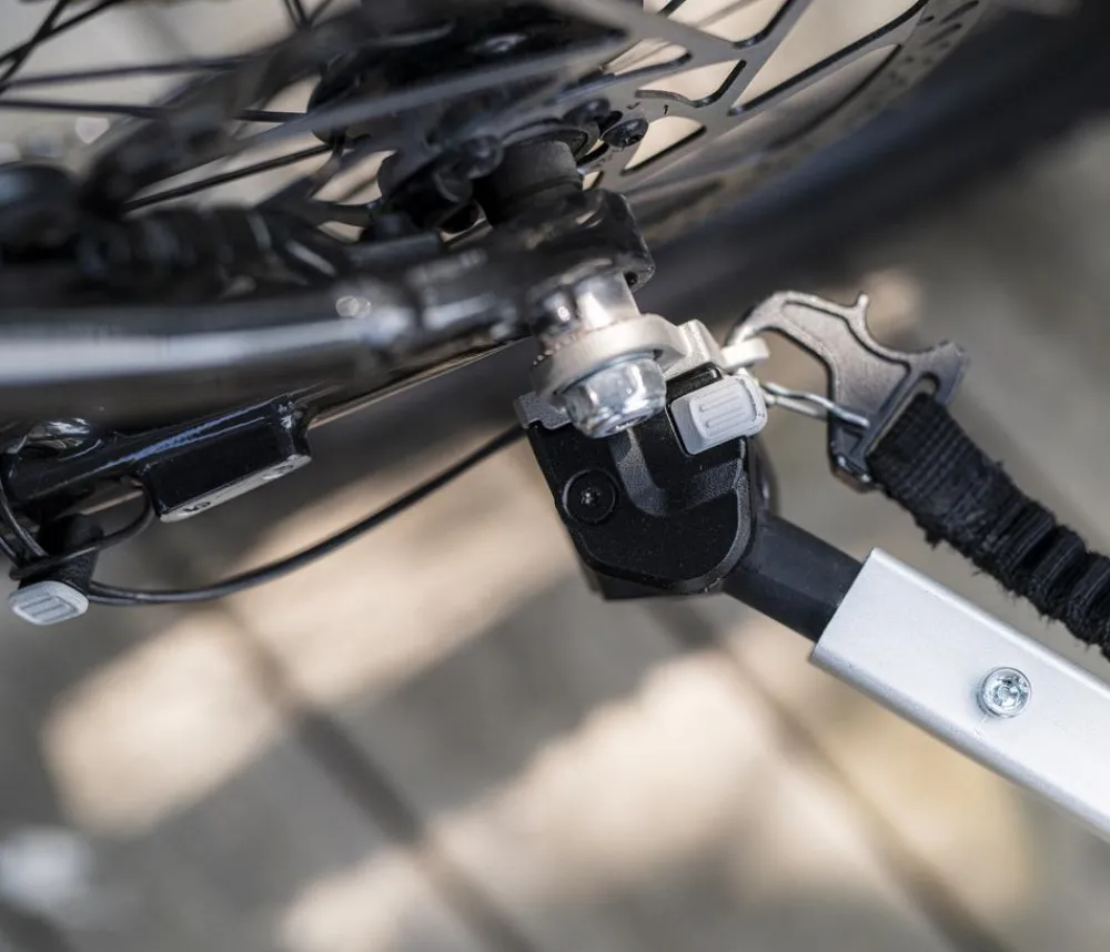 THULE® Mehr Transport & Unterwegs - Bexey Hunde-Fahrradanhänger, Hazy Green Grün