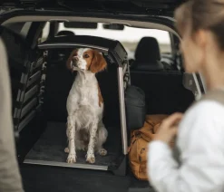 THULE® Mehr Transport & Unterwegs > Bodenmatte Dog Crate Mat Standard, ca. B80/H48,3 cm