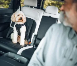 THULE® Mehr Transport & Unterwegs|Hundehalsbänder & Geschirre > Hundegechirr für Auto Cappy