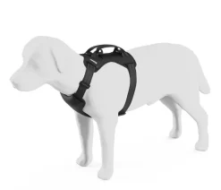 THULE® Mehr Transport & Unterwegs|Hundehalsbänder & Geschirre > Hundegechirr für Auto Cappy