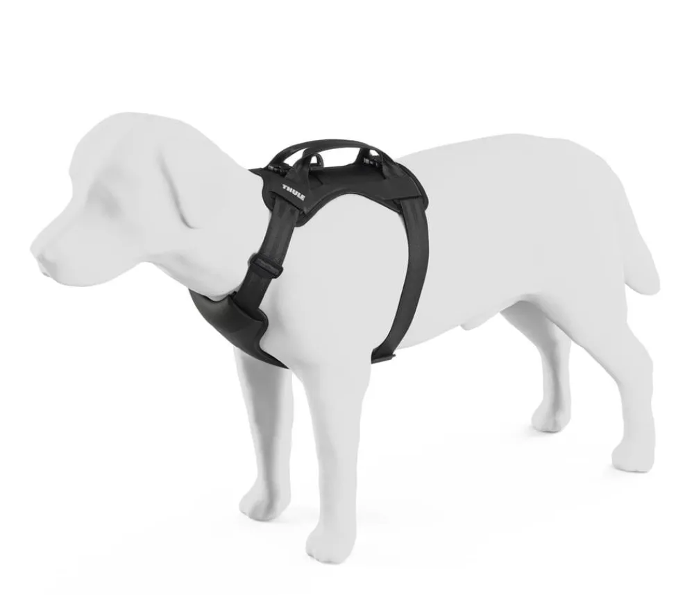 THULE® Mehr Transport & Unterwegs|Hundehalsbänder & Geschirre > Hundegechirr für Auto Cappy