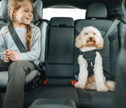 THULE® Hundegechirr für Auto Cappy Schwarz Hot