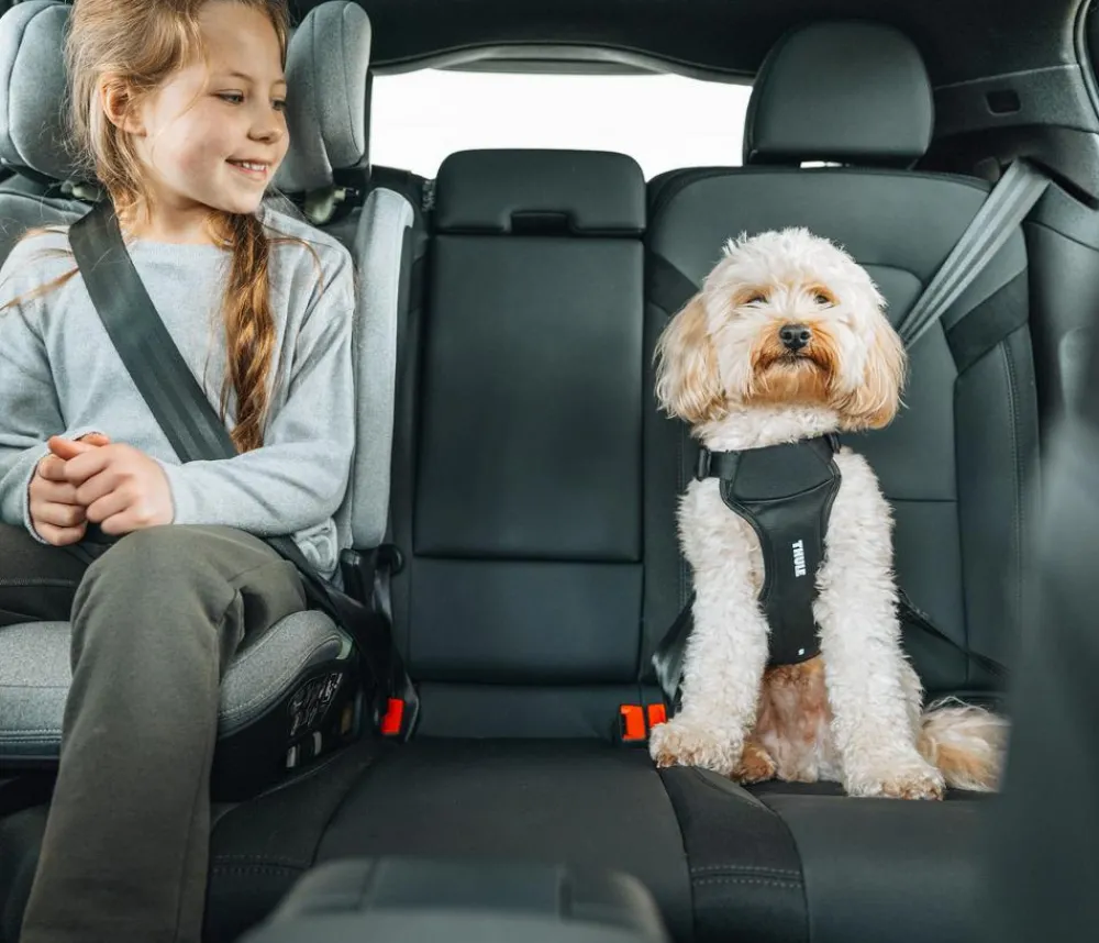 THULE® Mehr Transport & Unterwegs|Hundehalsbänder & Geschirre - Hundegechirr für Auto Cappy Schwarz