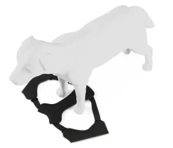 THULE® Mehr Transport & Unterwegs|Hundehalsbänder & Geschirre - Hundegechirr für Auto Cappy Schwarz
