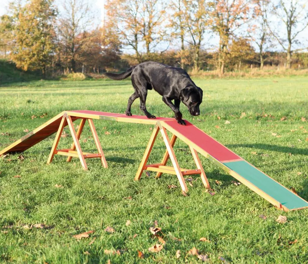 Trixie Hundespielzeug > Agility Steg Fun, ca. B30/H64/T456 cm