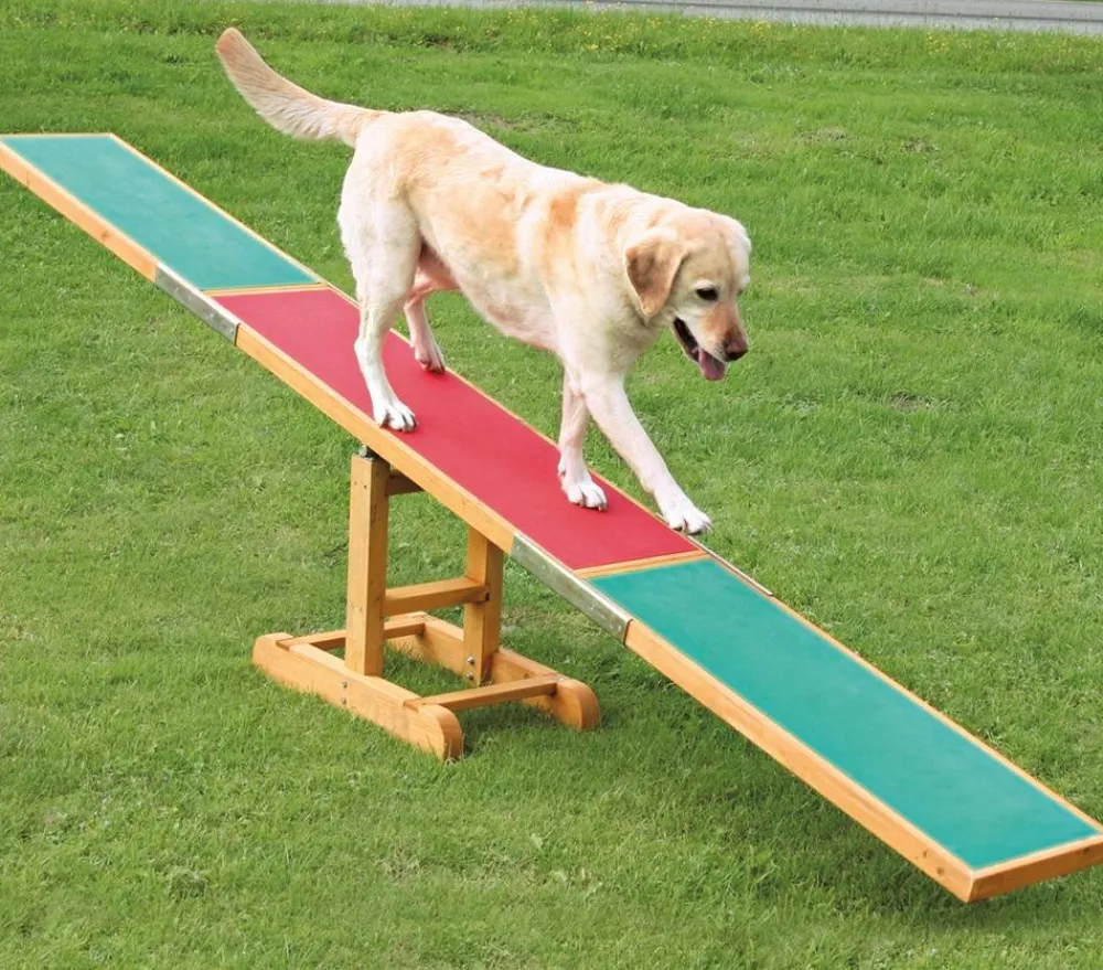 Trixie Hundespielzeug > Agility Wippe, ca. B34/H54/T300 cm