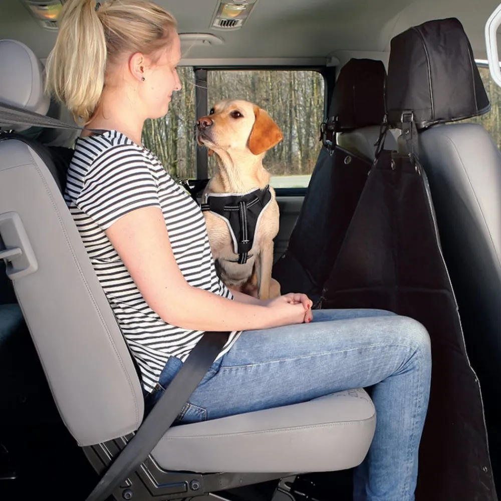 Trixie Mehr Transport & Unterwegs|Hundedecken - Auto-Schondecke Nylon, ca. B160/T145 cm Schwarz