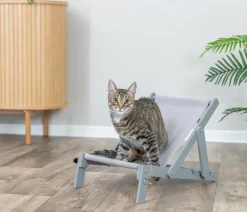 Trixie Holz-Strandstuhl für Katzen, ca. B33/H37/T51 cm Grau Best