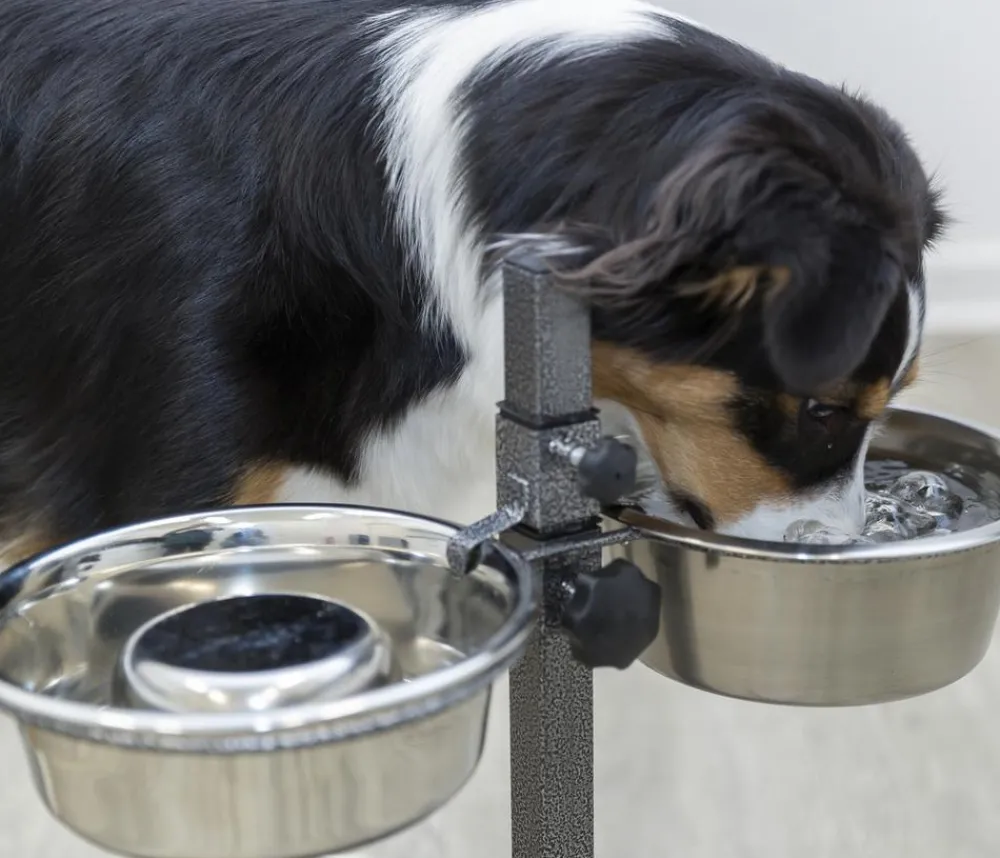 Trixie Hundenäpfe & Tränken|Artikel Zur Nachsorge - Hundebar