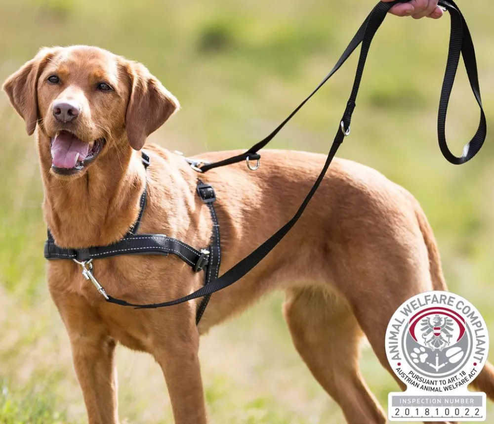 Trixie Hundegeschirr Lead'n'Walk Soft, Schwarz Best