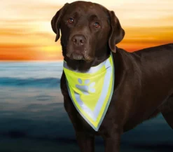 Trixie Hunde-Halstuch Safer Life Gelb Clearance
