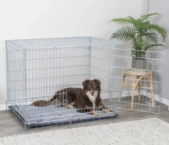 Trixie Mehr Hundeschlafplätze > Hundekäfig it 2 Türen,