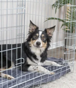 Trixie Mehr Hundeschlafplätze > Hundekäfig it 2 Türen,