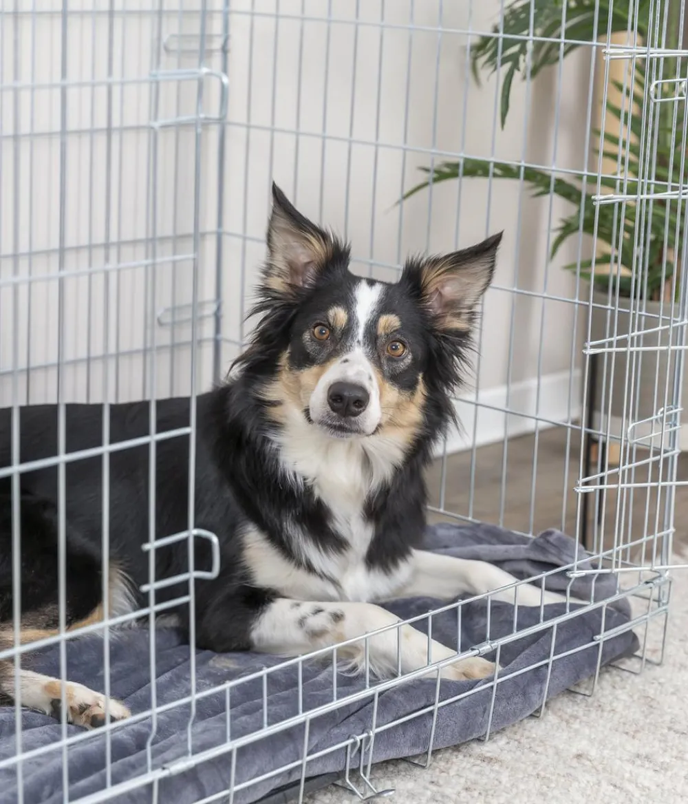 Trixie Mehr Hundeschlafplätze > Hundekäfig it 2 Türen,