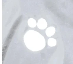 Trixie Mehr Hundezubehör - Hunde-Regenmantel Tarbes
