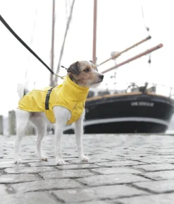 Trixie Hunde-Regenmantel Vimy Gelb Clearance