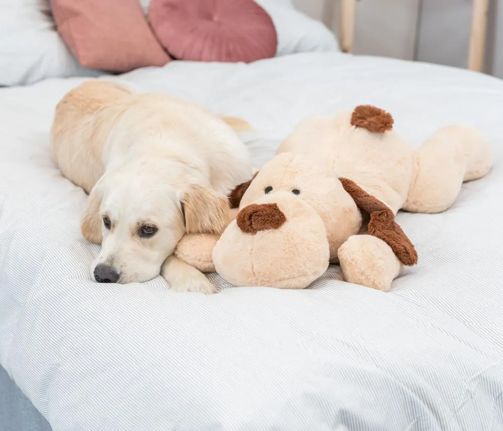 Trixie Hundespielzeug Ankuschelhund Benny Discount