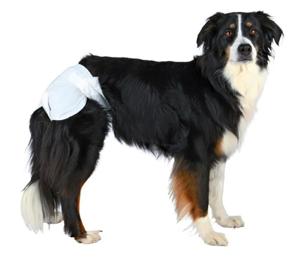 Trixie Hygiene- & Reinigungsartikel|Hundepflege & Hygiene - Hundewinden, 12 Stück