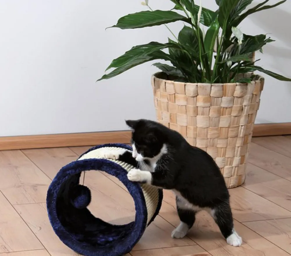 Trixie Kratzbäume & Kratzmöbel|Katzenspielzeug > Katzenspielzeug Spielrolle