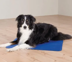 Trixie Mehr Transport & Unterwegs|Hundedecken > Kühlmatte, rechteckig,