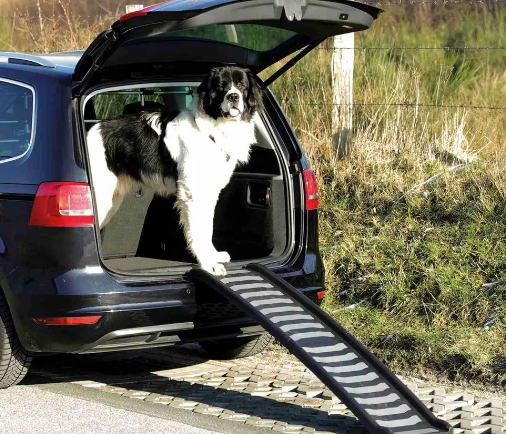 Trixie Mehr Transport & Unterwegs - Klapprampe, Kunststoff, ca. L160/B39 cm Schwarz