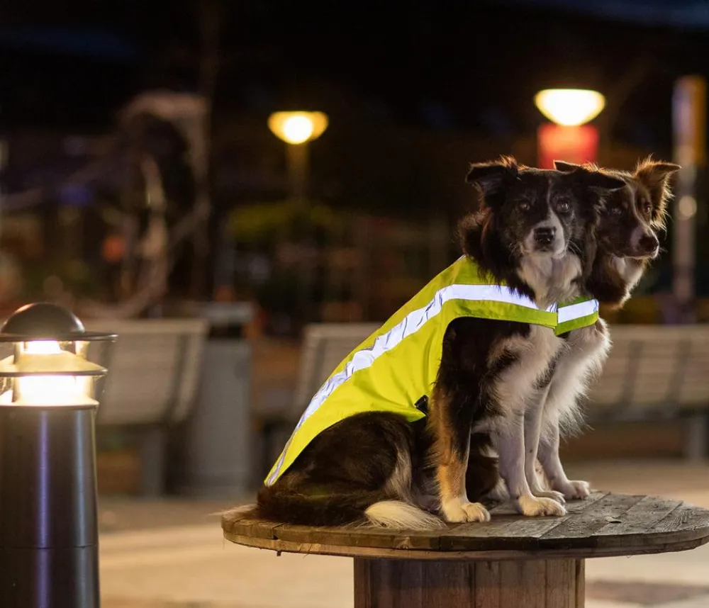 Trixie Sicherheitsweste für Hunde, neon Gelb
