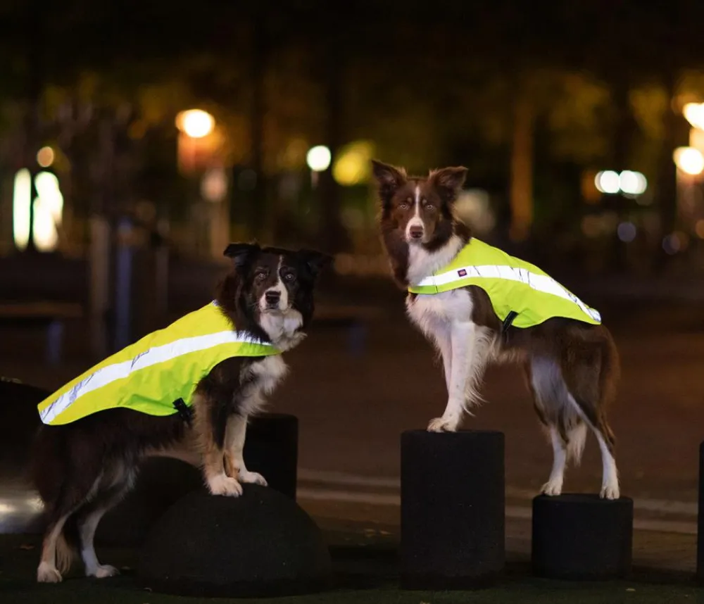 Trixie Mehr Hundezubehör|Mehr Transport & Unterwegs > Sicherheitsweste für Hunde, neon