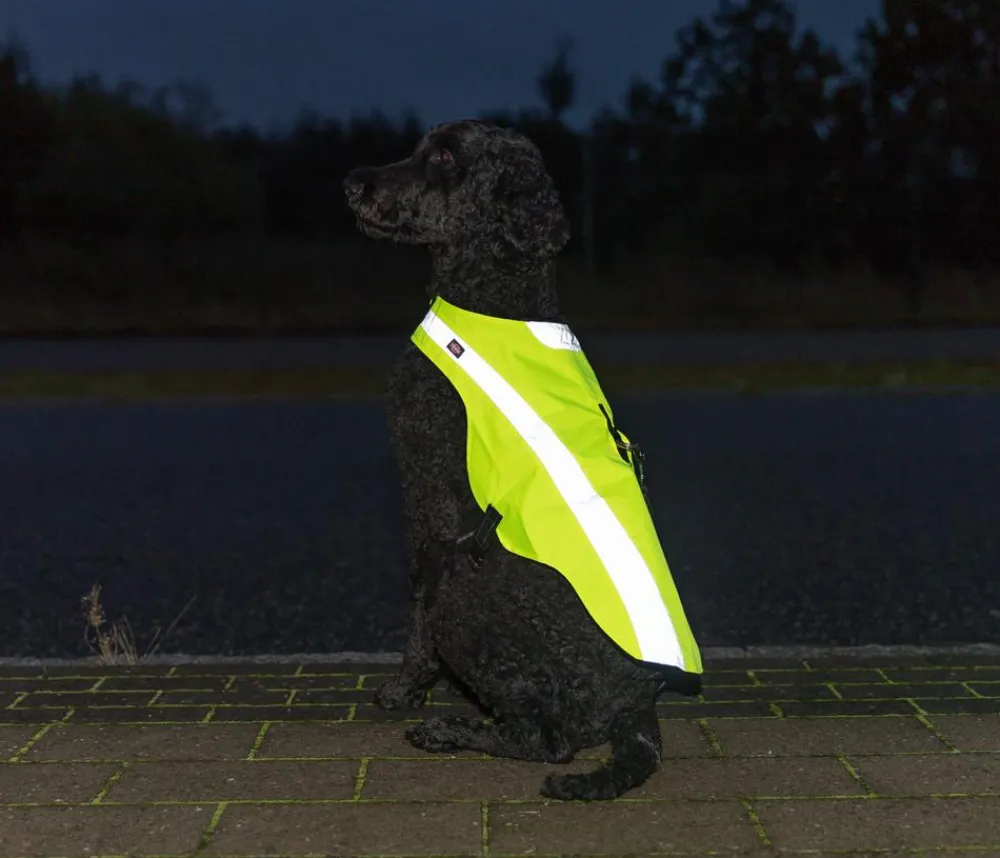 Trixie Mehr Hundezubehör|Mehr Transport & Unterwegs > Sicherheitsweste für Hunde, neon