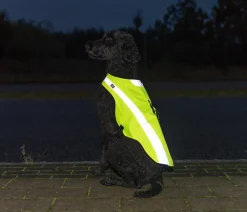 Trixie Mehr Hundezubehör|Mehr Transport & Unterwegs - Sicherheitsweste für Hunde, neon Gelb