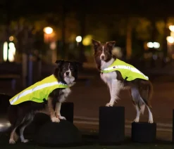 Trixie Mehr Hundezubehör|Mehr Transport & Unterwegs - Sicherheitsweste für Hunde, neon Gelb