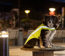 Trixie Mehr Hundezubehör|Mehr Transport & Unterwegs - Sicherheitsweste für Hunde, neon Gelb