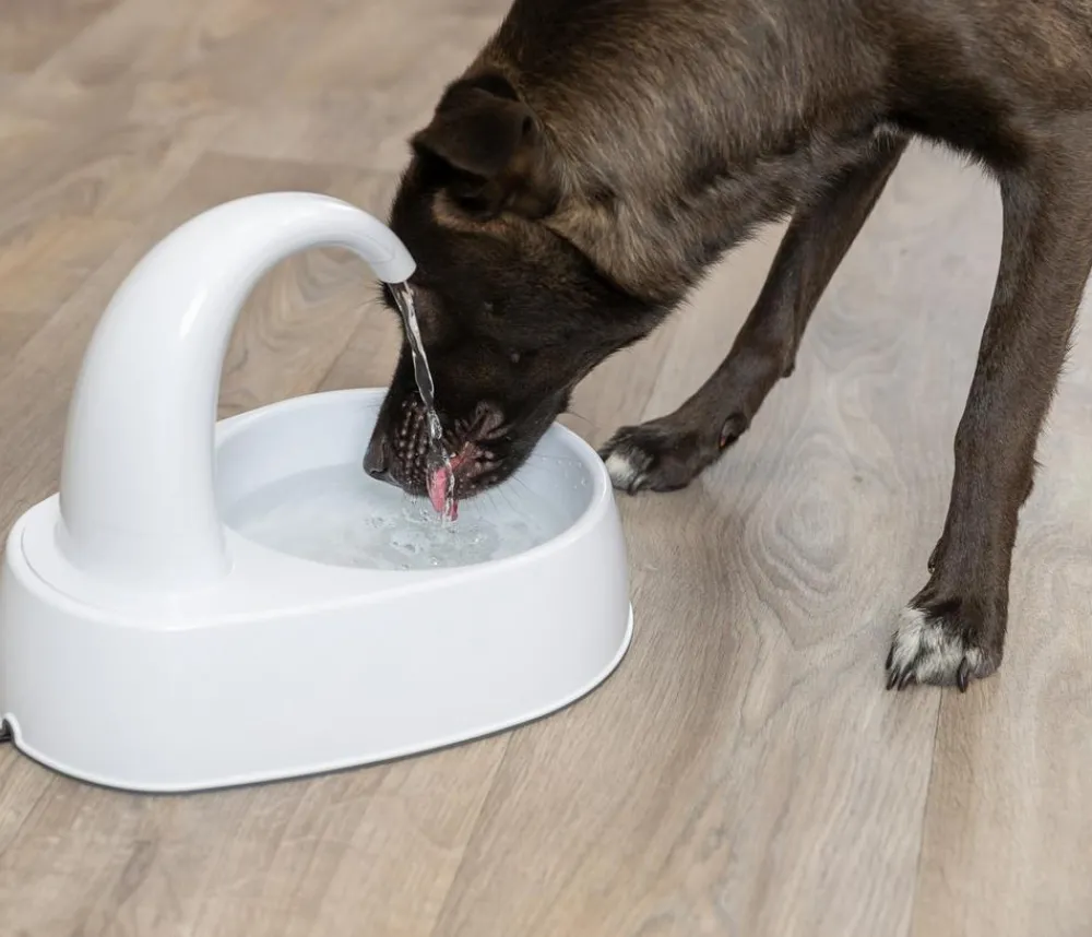 Trixie Hundenäpfe & Tränken|Trinkbrunnen - Trinkbrunnen Curved Stream, , 2,5 l Weiß