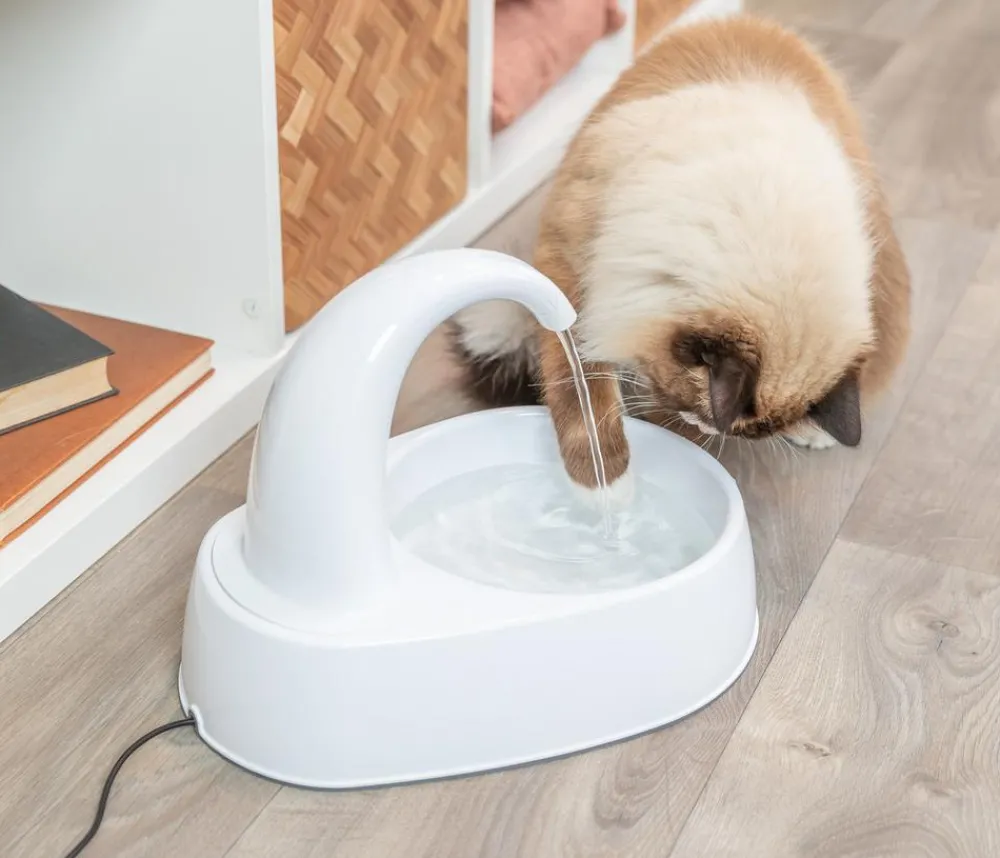 Trixie Hundenäpfe & Tränken|Trinkbrunnen - Trinkbrunnen Curved Stream, , 2,5 l Weiß